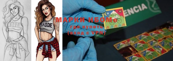 ешки Алексин