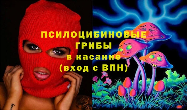 стаф Новодвинск