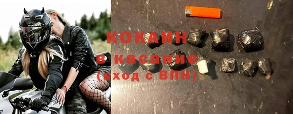 ешки Алексин
