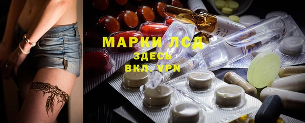 стаф Новодвинск
