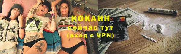 ешки Алексин