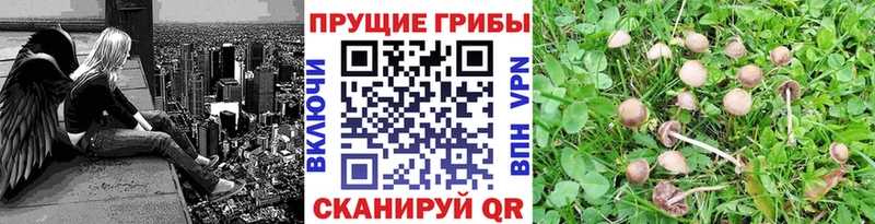 mega ONION Наволоки Псилоцибиновые грибы ЛСД